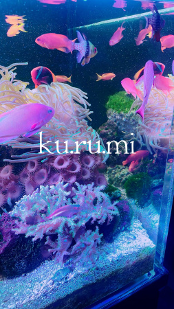 くるみ