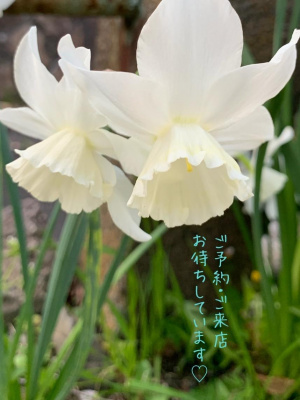 美熟女サロン　向日葵