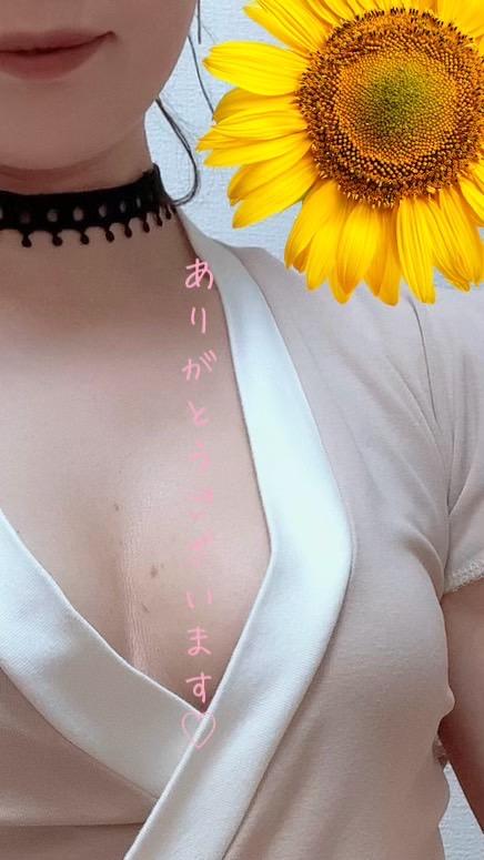 美熟女サロン　向日葵