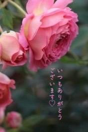 美熟女サロン　向日葵