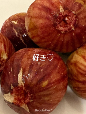 美熟女サロン　向日葵