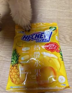 吉永さと