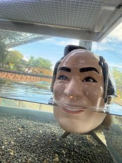 吉永さと