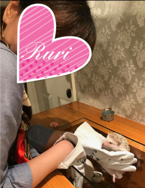 泉るり