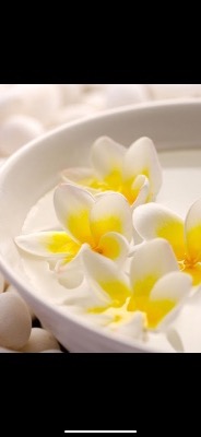 エルブランシュ町田 | 中井もえ