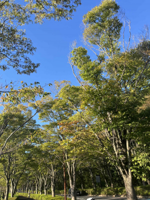 土屋ひな