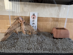 可恋