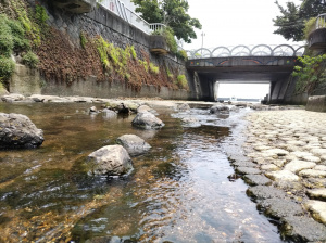 えみな