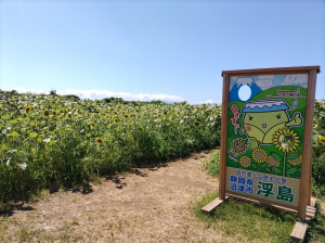 えみな