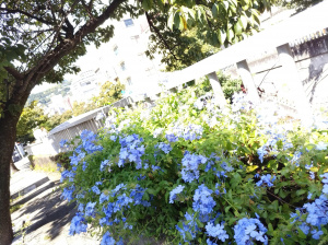 えみな