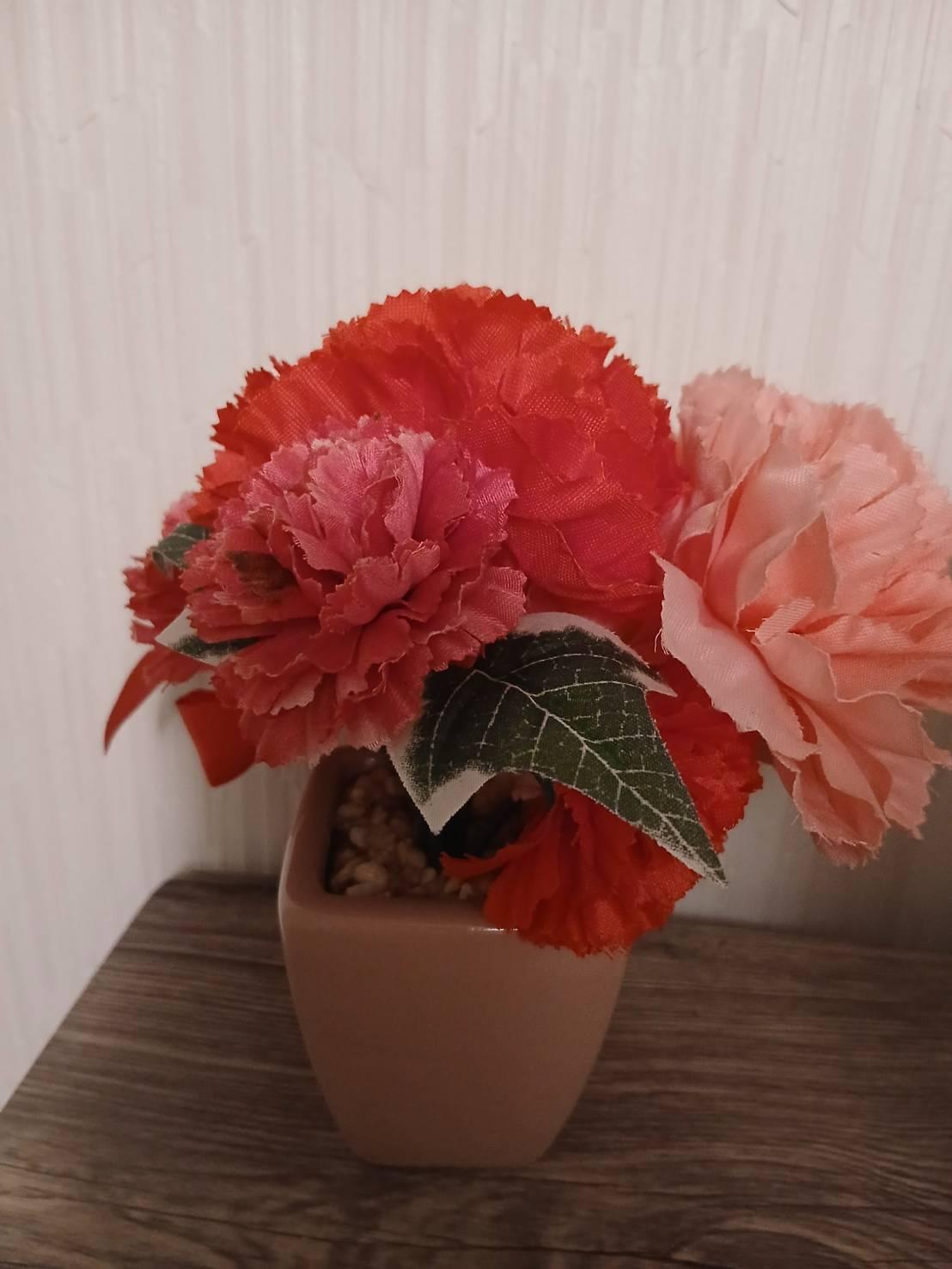 さくら