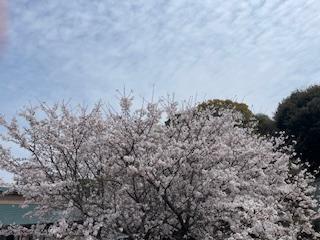 なつみ