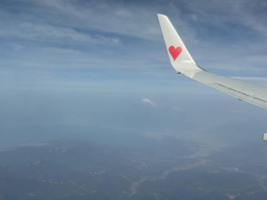 ゆり