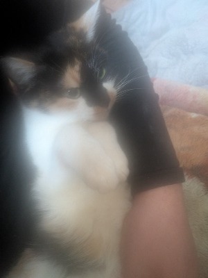 激安！近所の奥様 | てすと