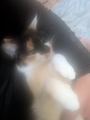 激安！近所の奥様 | てすと