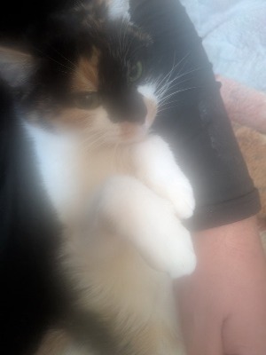 激安！近所の奥様 | てすと